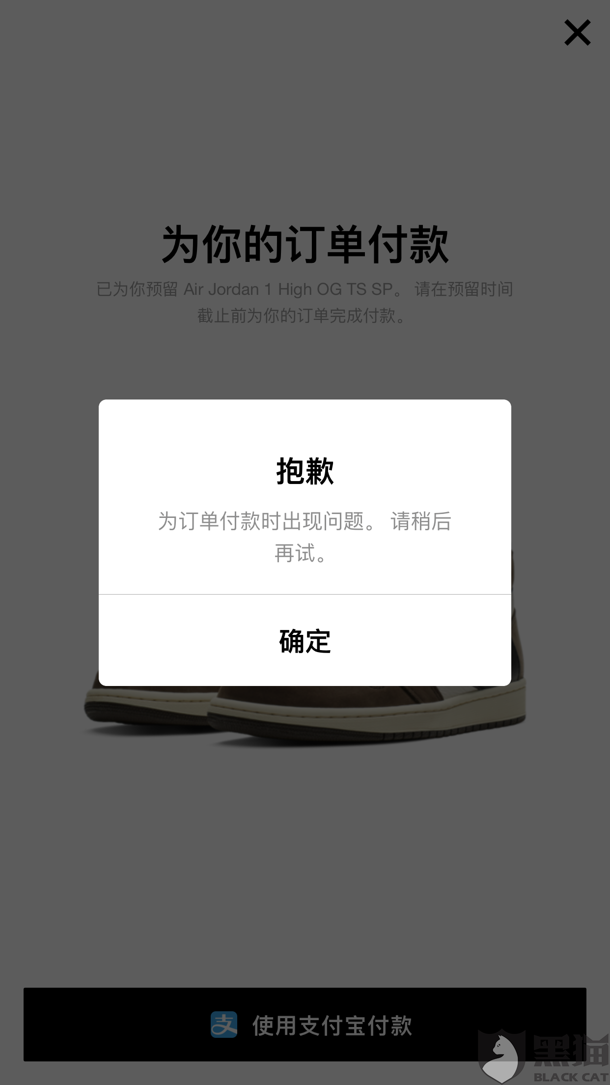 NIKE SNKRS 抢鞋不能付款