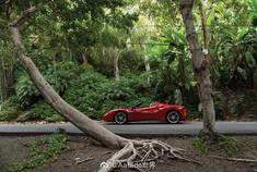 汽车美图赏析：只有红色才是法拉利的魂