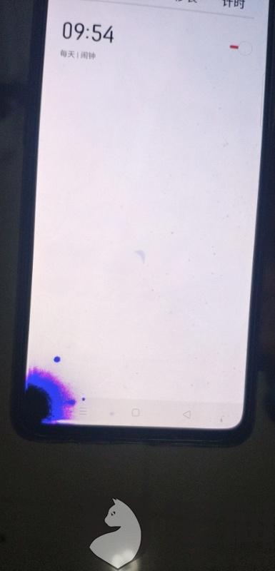 bf25-ipmxpvz9206899.jpg