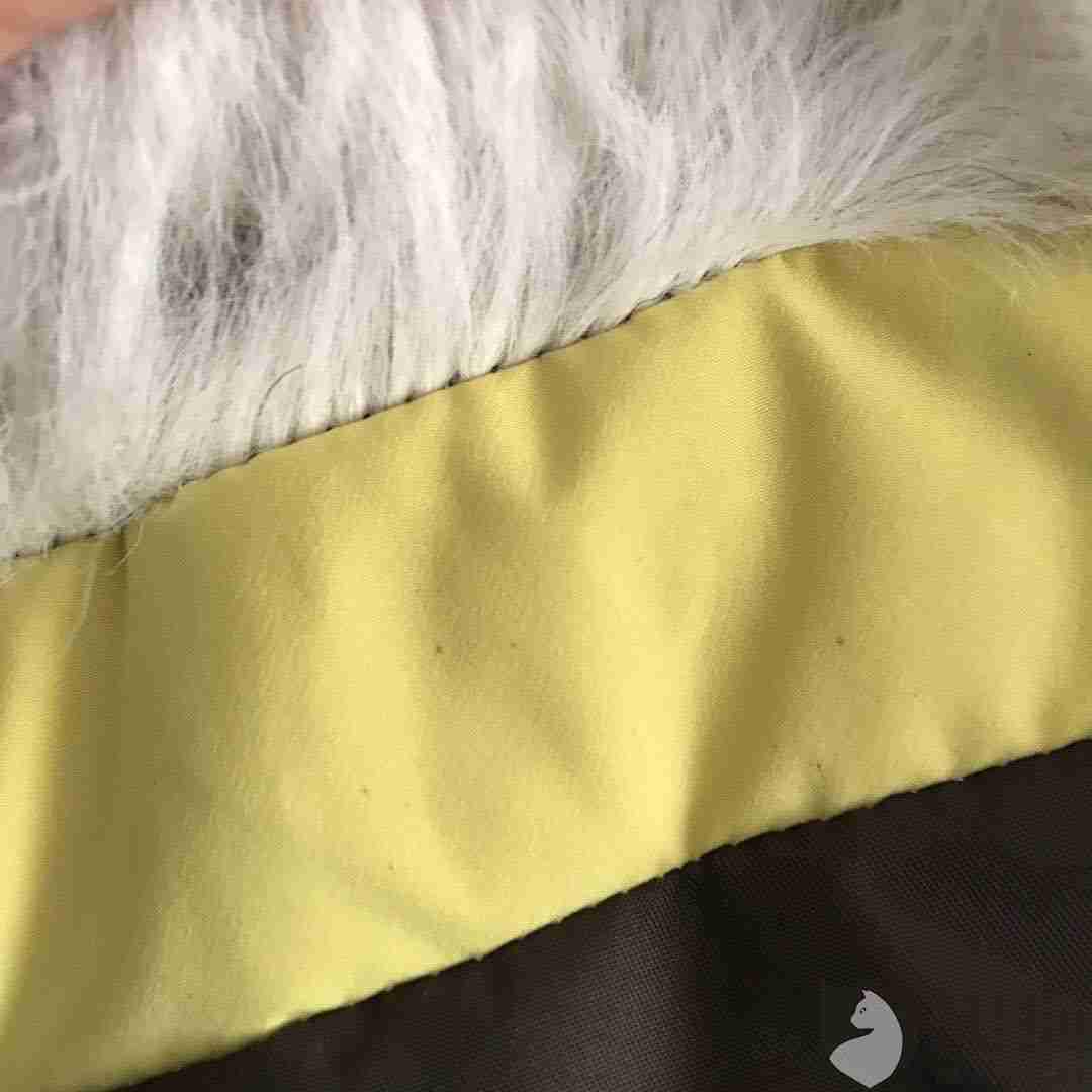 内衣有黑点还能穿吗_耳朵里有黑点能挤出来(3)