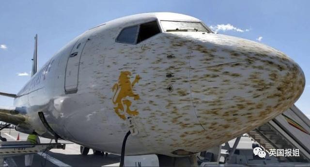 肆虐中国3000年的蝗灾，不是被中国人吃没的