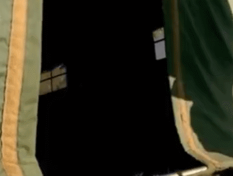 肆虐中国3000年的蝗灾，不是被中国人吃没的