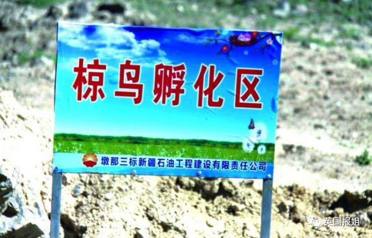 肆虐中国3000年的蝗灾，不是被中国人吃没的