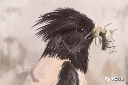 肆虐中国3000年的蝗灾，不是被中国人吃没的