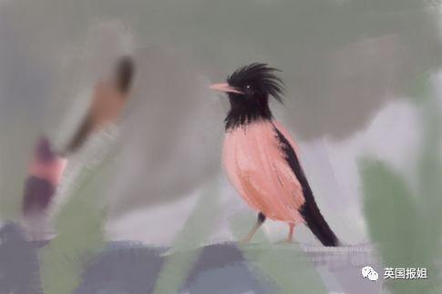 肆虐中国3000年的蝗灾，不是被中国人吃没的