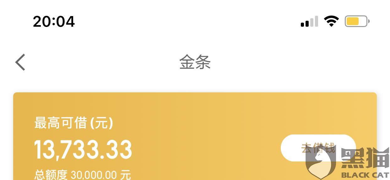 京东金条银行流水显示 新浪网