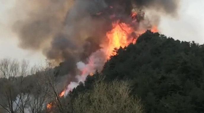 视频山西榆社森林火灾1500人连夜扑救明火基本扑灭