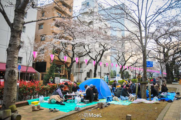 在播磨坂野餐