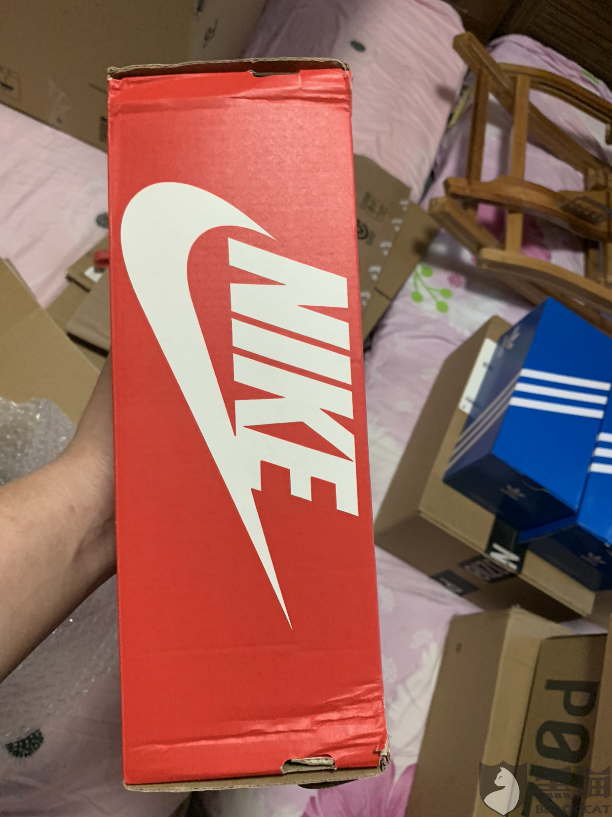 黑猫投诉平台登录入口怎么进不去 e38e-irpunah1396335.png