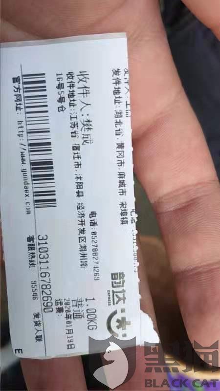 人口杳_qq三国杳杳灵翼