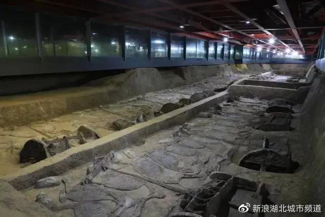 （圖片來(lái)源：荊州市人民政府網(wǎng)）