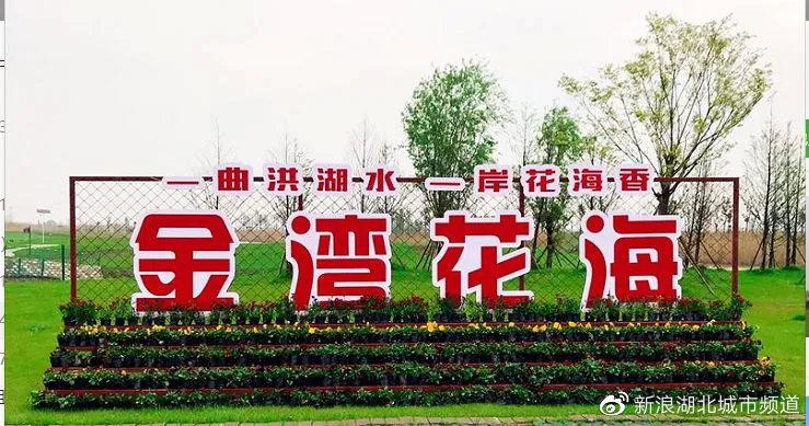 （圖片來(lái)源：洪湖金灣花海微信公眾號(hào)）