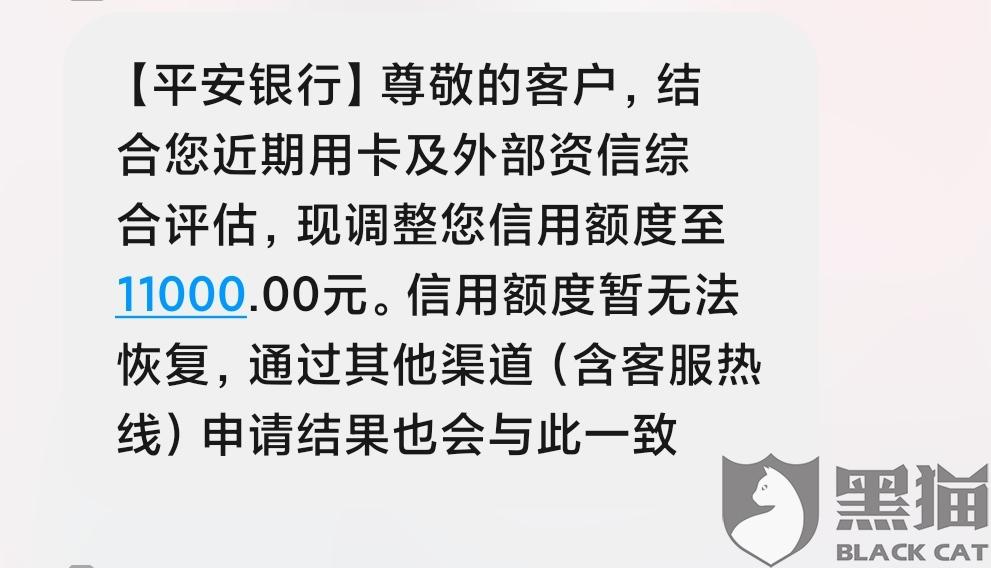 平安银行信用卡走流水能提额吗 新浪网