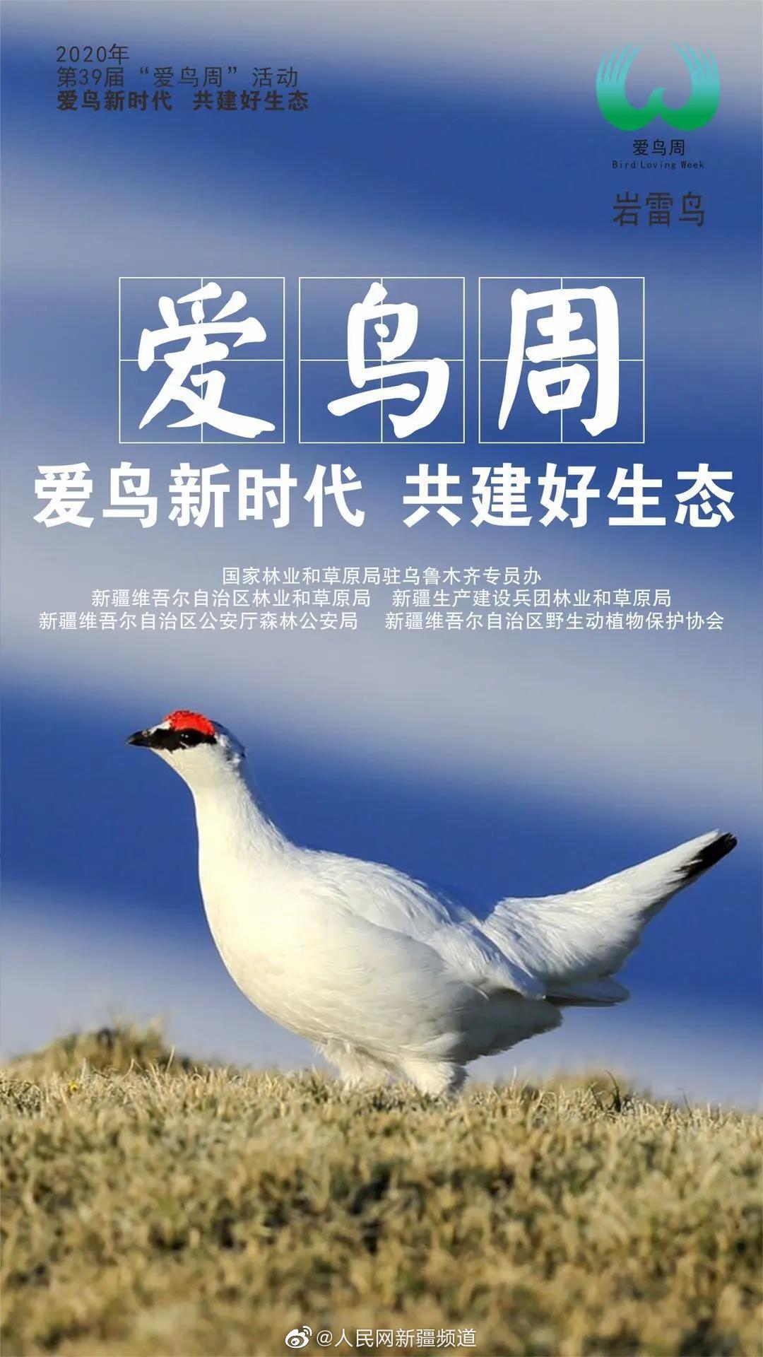 山东 青岛：城阳区爱鸟周启动 发动全社会爱鸟护绿-中国野生植物保护协会