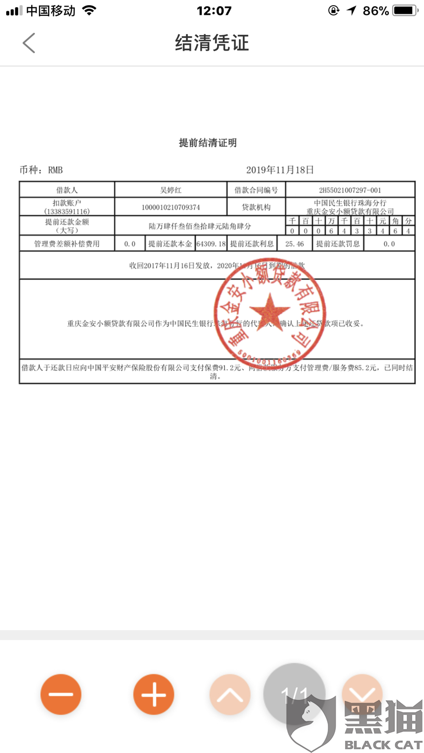 平安普惠银行流水 新浪网