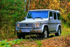 夏日野趣，怎能少了奔驰G-Wagon W463 G320