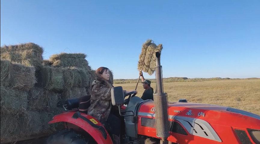 草原姑娘其木格女汉子本性暴露 开拖拉机打草样样行 这技术给几分