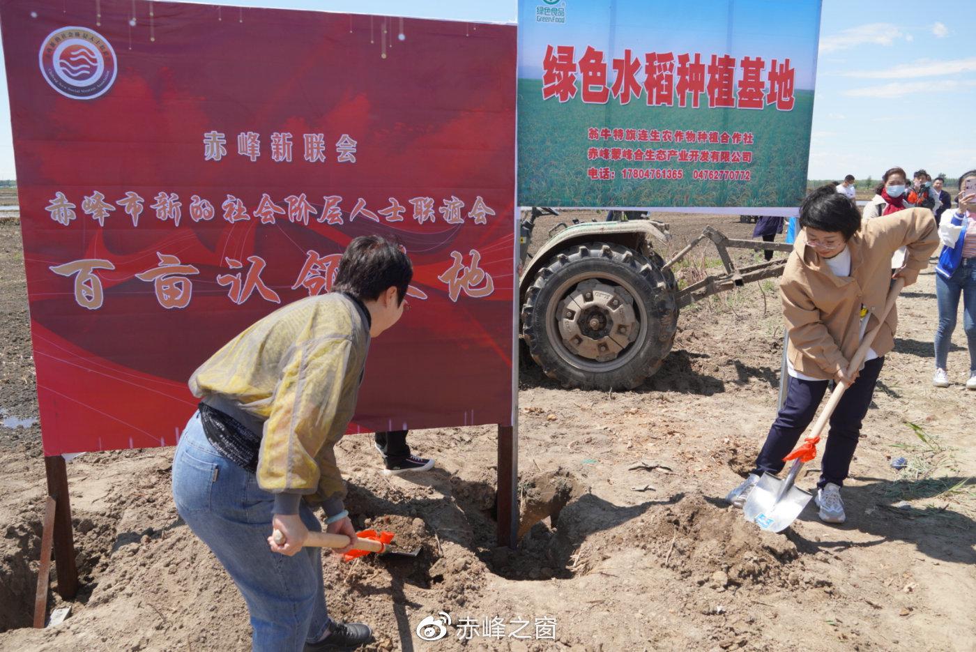 市新联会百亩稻田认领基地