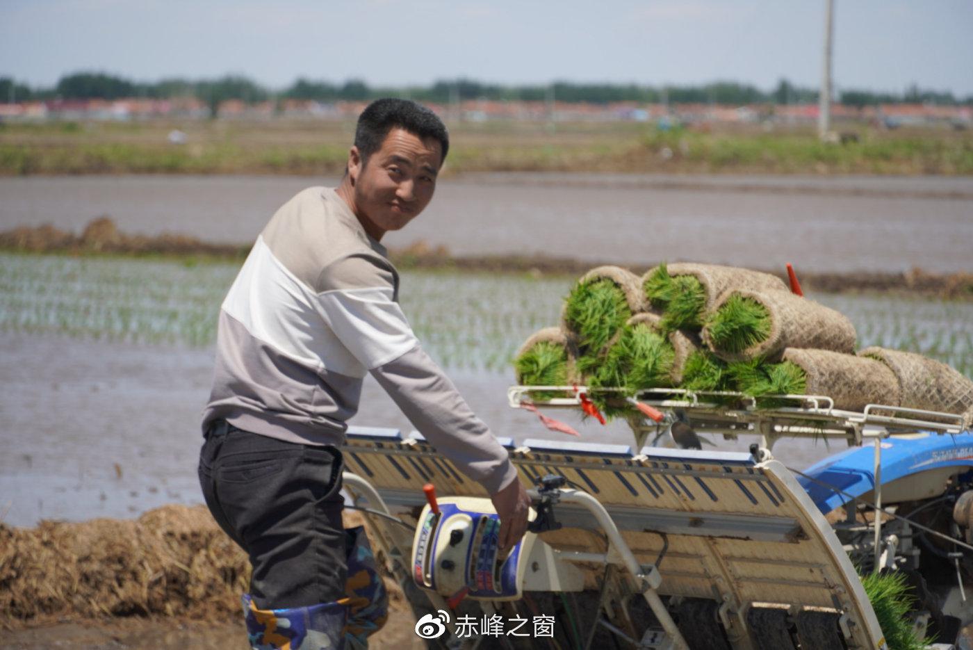 期待丰收的农民