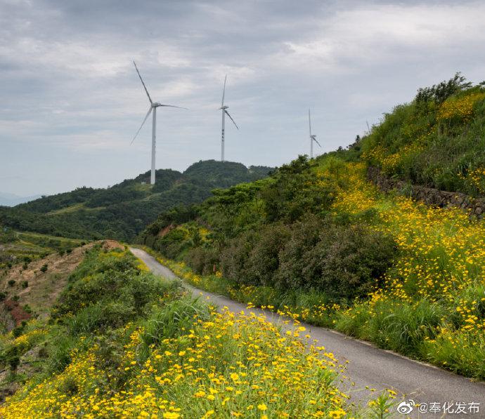 奉化松岙街横村人口_奉化裘村甲岙