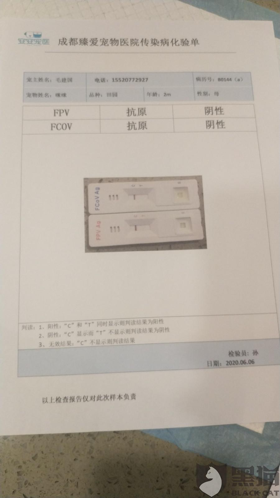 五分类血检测,诊断结果为急性肠胃炎