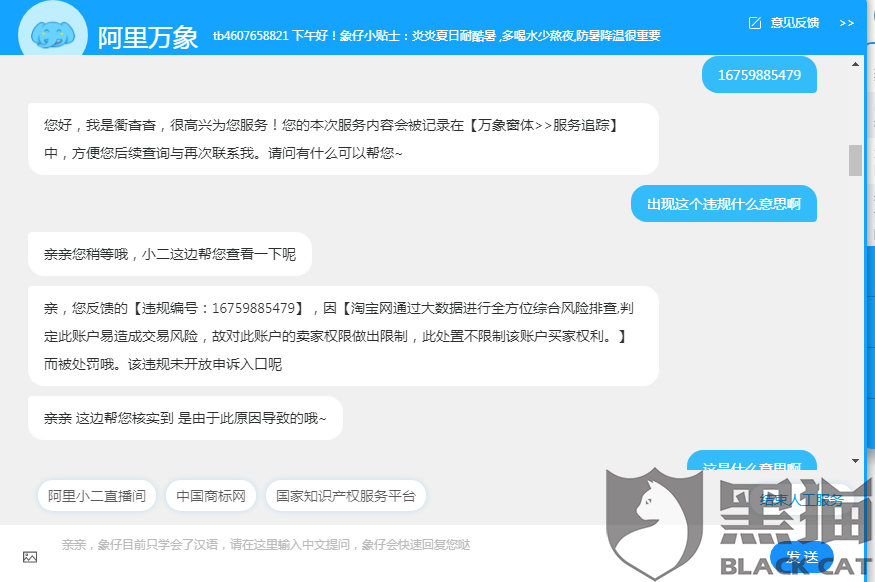 淘宝卖家运营是干嘛的,淘宝卖家运营是干嘛的啊