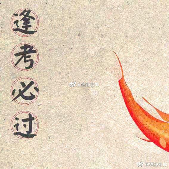 转走锦鲤,一举夺魁稳上岸,逢考必过拿高分