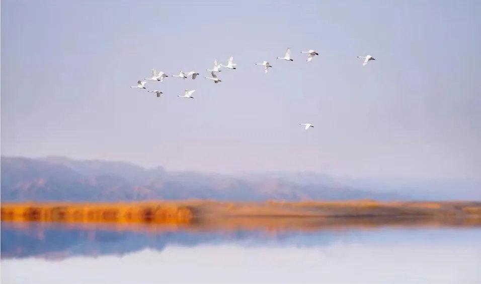 爱上内蒙古|巴彦淖尔：有最美湖泊与动人的诗歌
