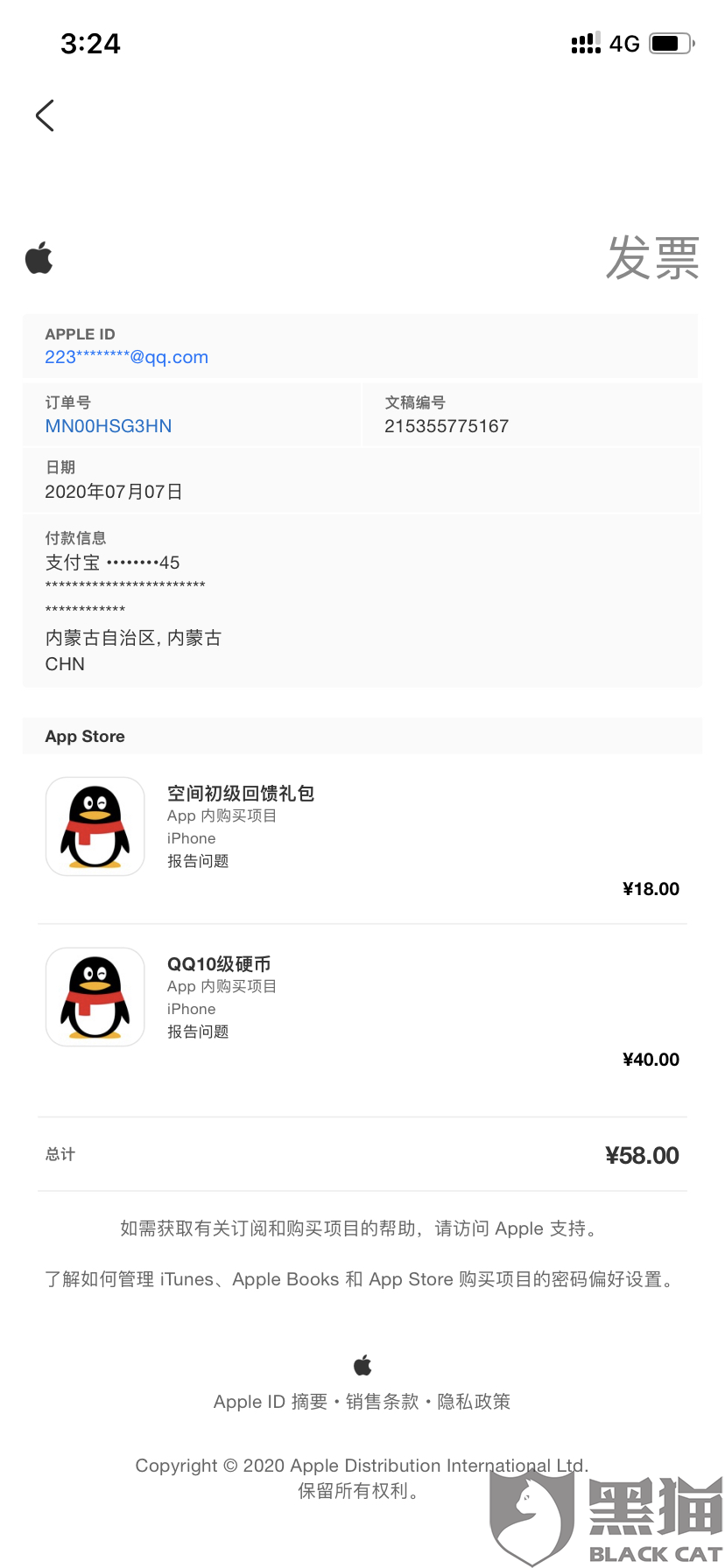 0fdf-iwasyei2503510.png