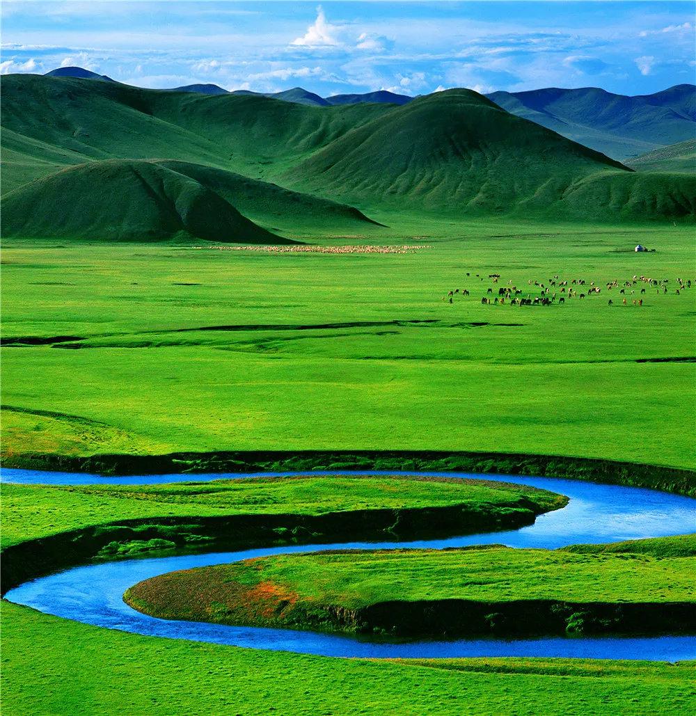 爱上内蒙古|草原游 领略不一样的内蒙古草原