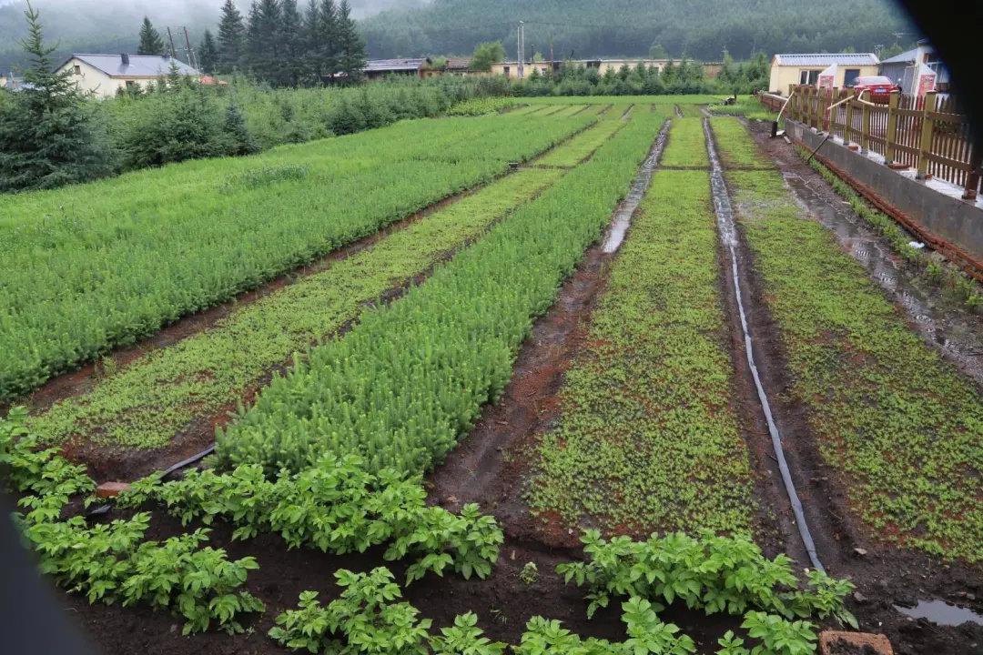 兴安盟人口总数_兴安盟地图(3)