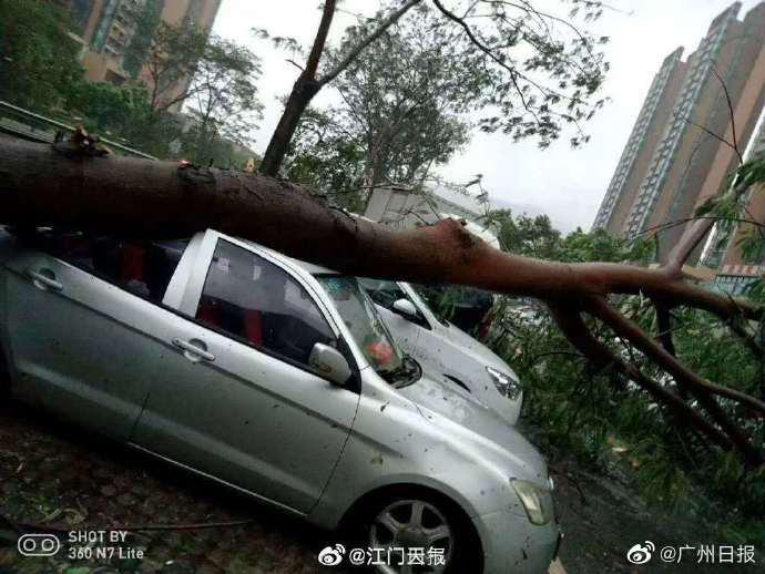 广州江门大暴雨伴有13级大风 台山新会暴雨红色预警