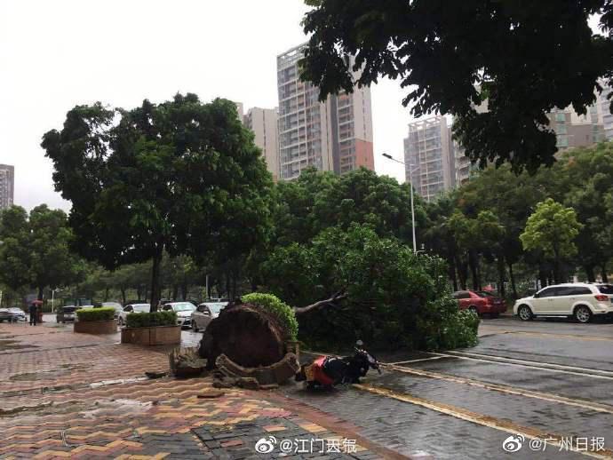 广州江门大暴雨伴有13级大风 台山新会暴雨红色预警