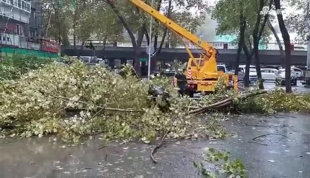 迎战“海神”！哈市城管全系统这样维护城市秩序