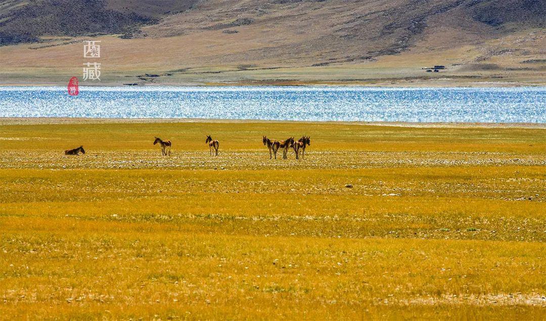 印度人喜歡在恒河中洗澡，我國(guó)竟也有個(gè)眾人朝拜、沐浴凈身的圣湖