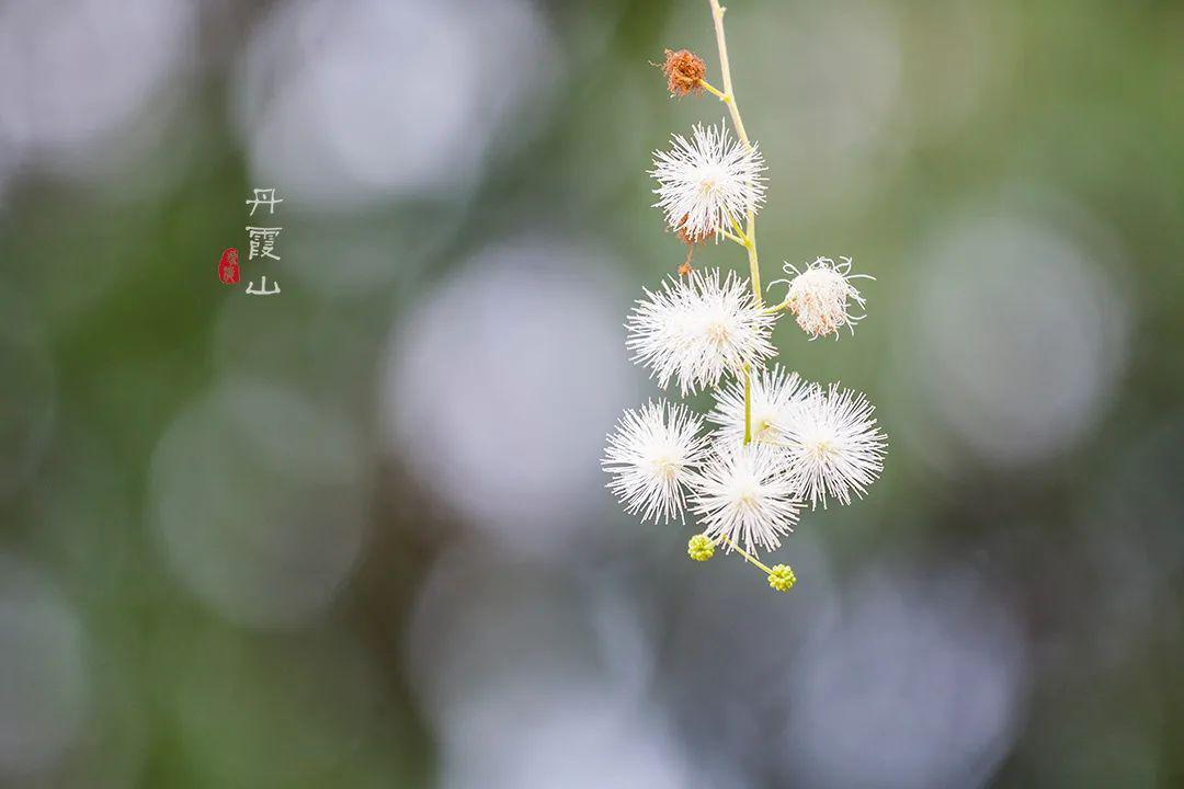 在中国最美七大丹霞之首,竟然藏着一个700年历史的绝美古村