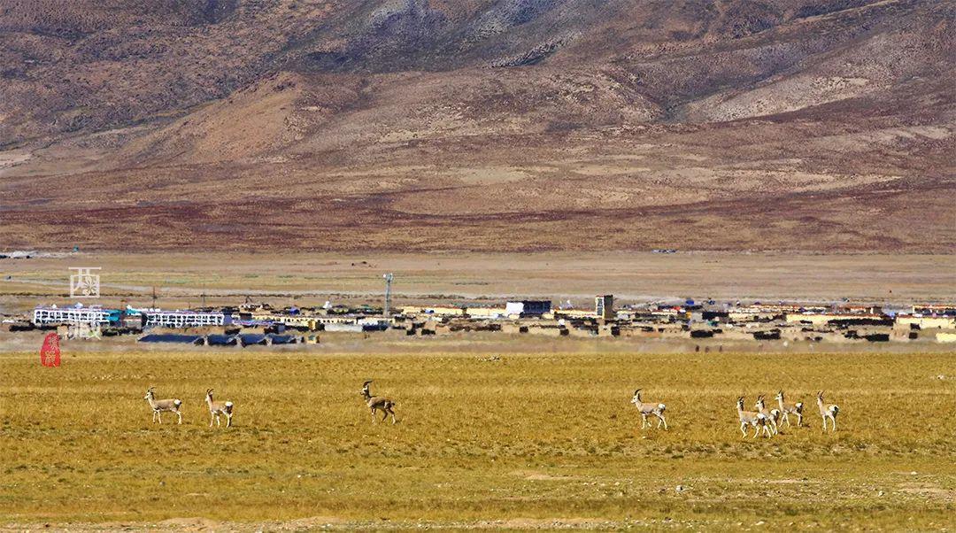 印度人喜歡在恒河中洗澡，我國(guó)竟也有個(gè)眾人朝拜、沐浴凈身的圣湖