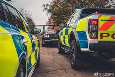 汽车美图大赏：福特最近的性能车很入眼~