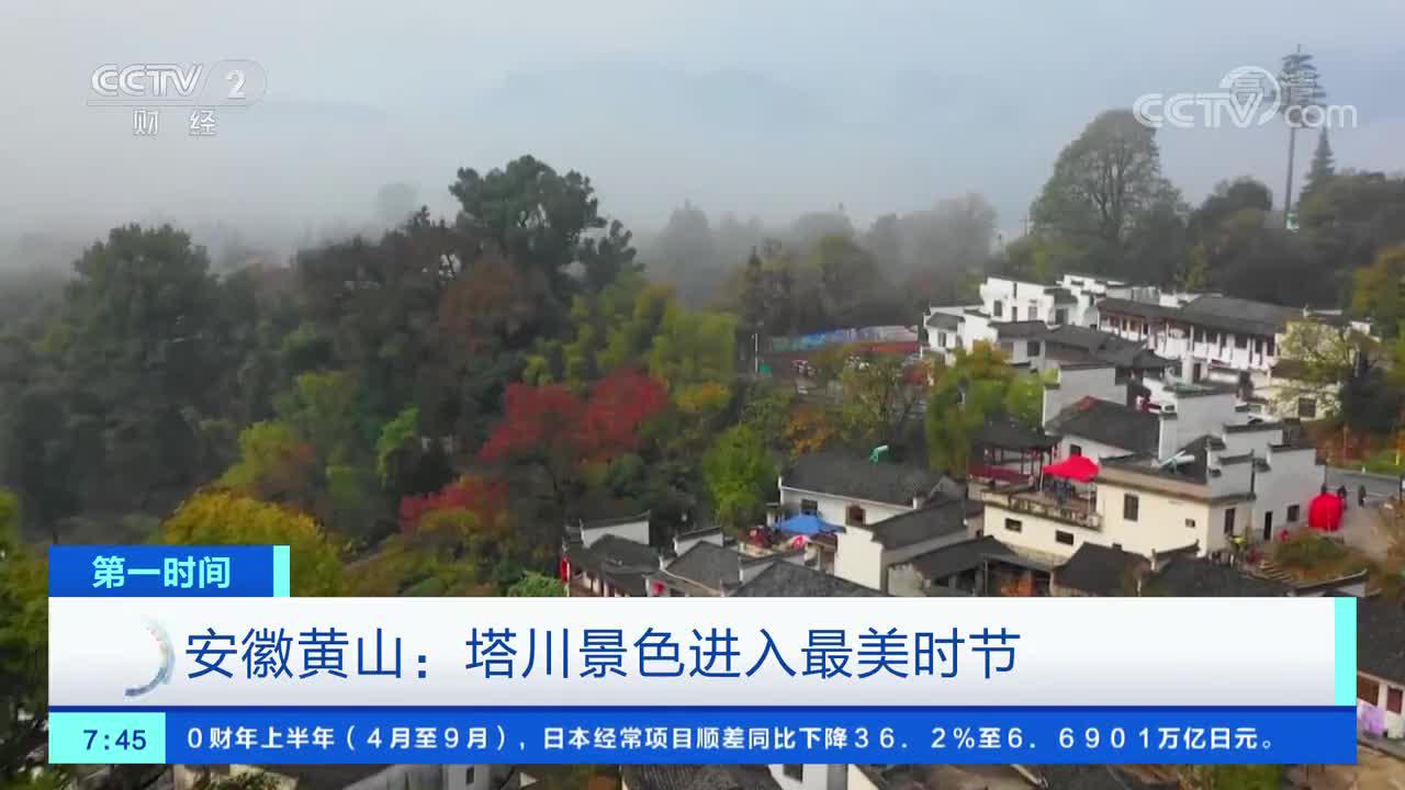 安徽黄山：塔川景色进入最美时节