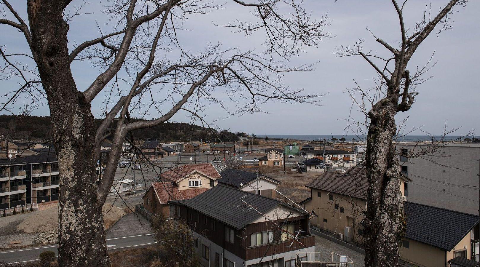 日本鼓励居民搬到核污染区