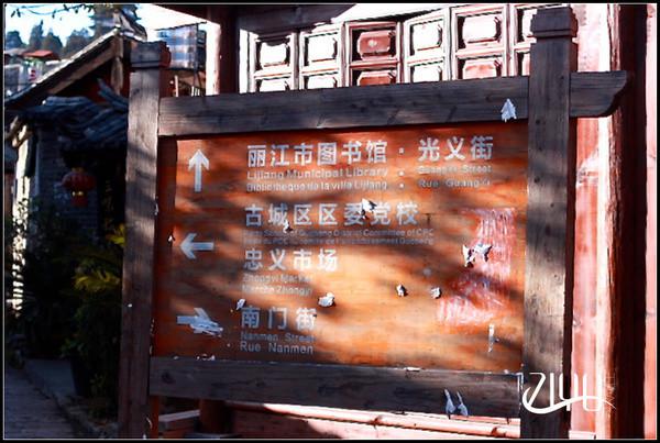 新浪旅游