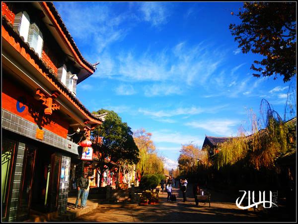 新浪旅游