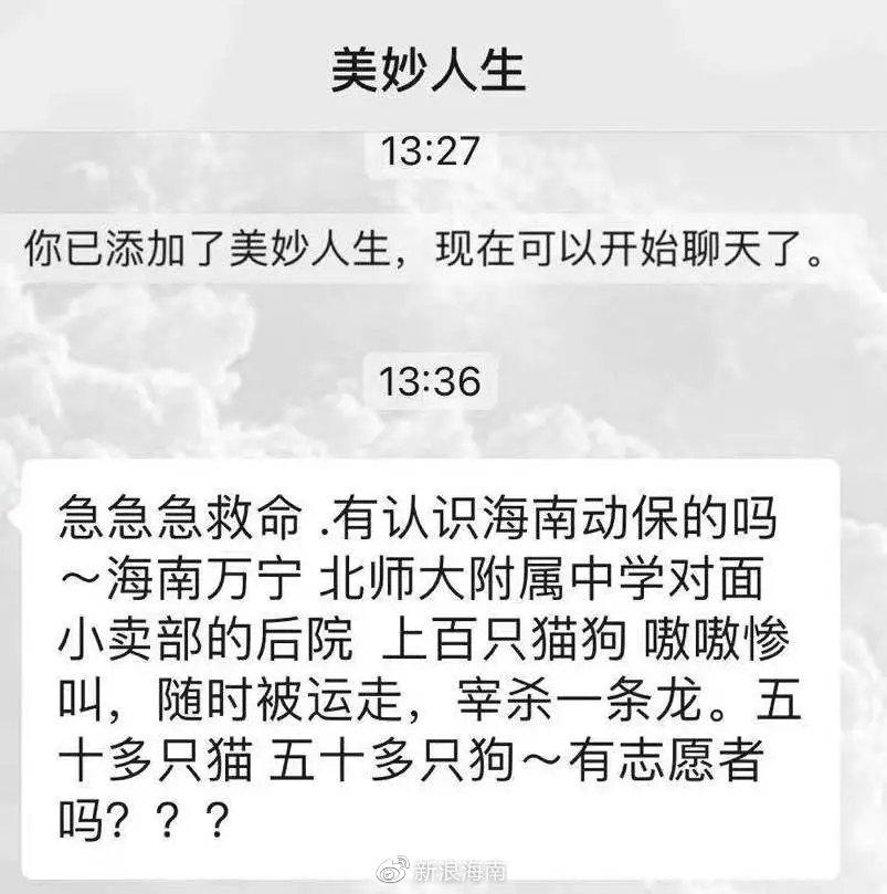 探探人口贩子_人口贩子钱媚平(2)