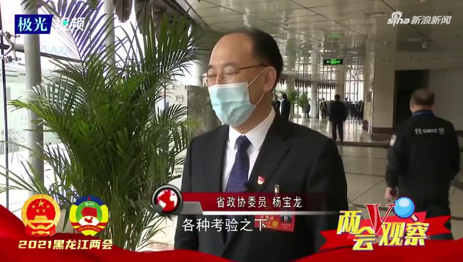 两会V观察丨省政协委员杨宝龙：农业生产克服不利因素 北大荒营收利润“双创”新高