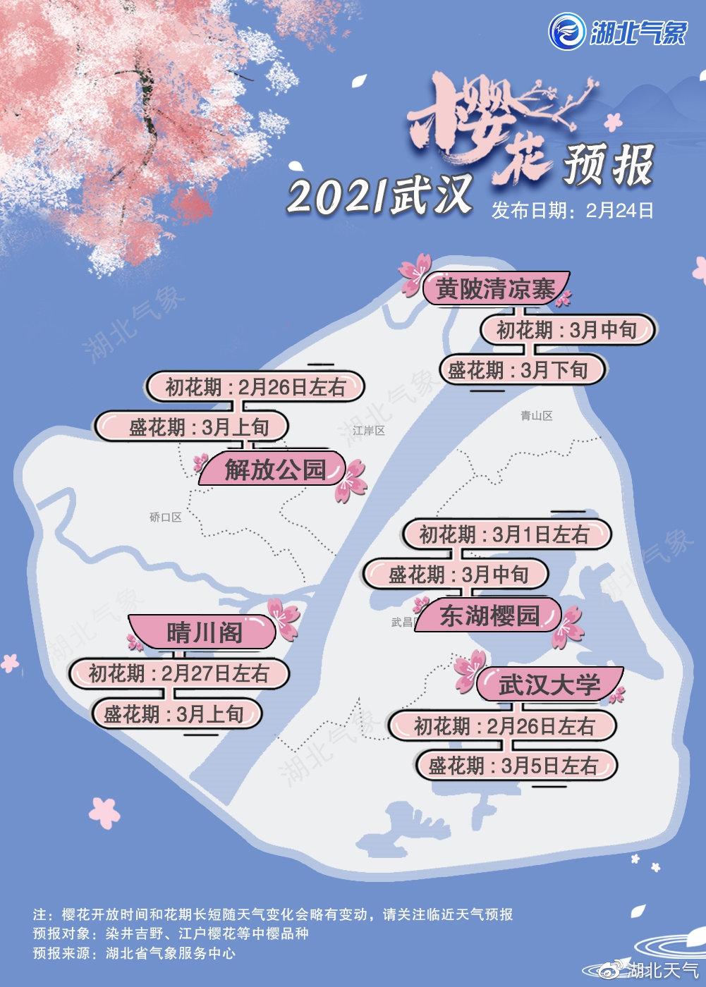 2021年武汉樱花花期预报图