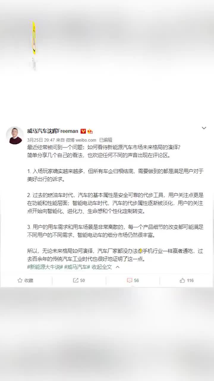 威马沈晖：电动车不可能一家独大