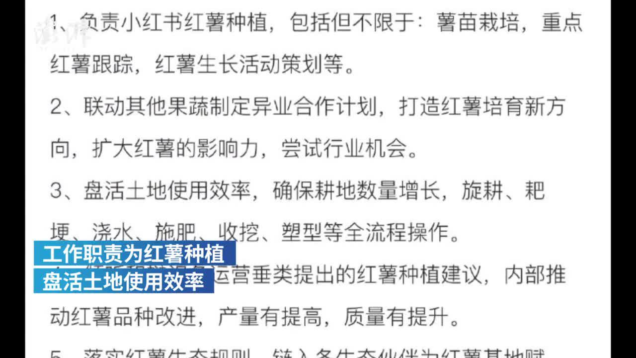 小红书月薪7万招红薯栽培运营官?愚人节的玩笑