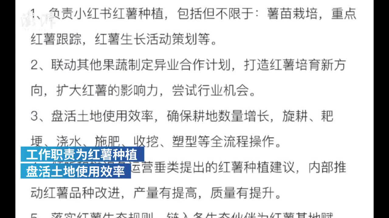 小红书月薪7万招红薯栽培运营官？愚人节的玩笑