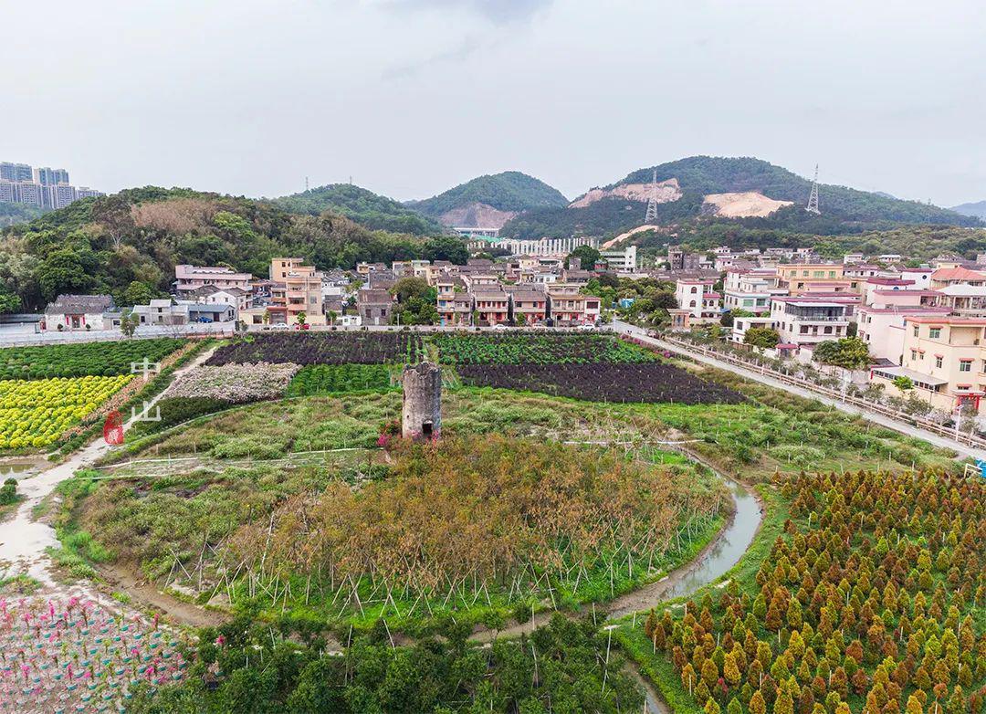 这座800年古村,竟成为当地唯一的国家级最美乡村,还不要门票