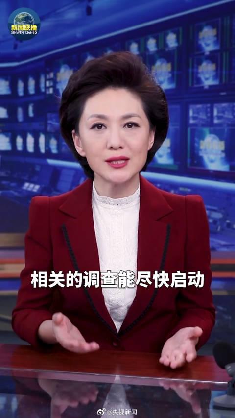 央视主播谈特斯拉车主维权